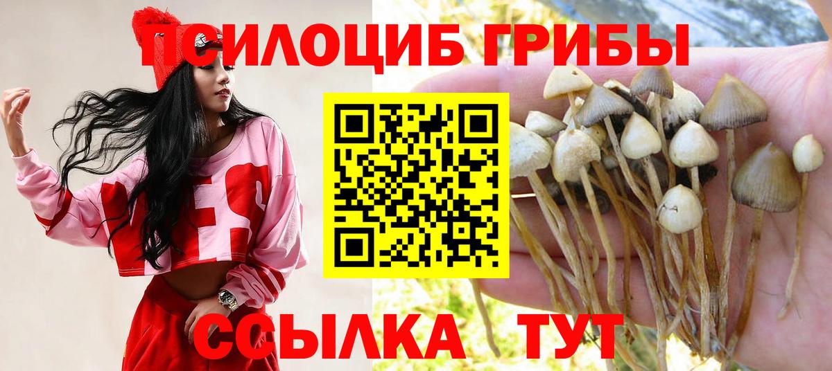 Рославль  Галлюциногенные грибы GOLDEN TEACHER  Вход с VPN  Псилоцибиновые грибы MAGIC MUSHROOMS 